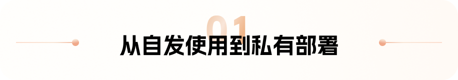 章节标题:从自发使用到私有部署