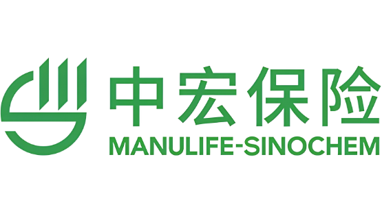 中宏保险 logo